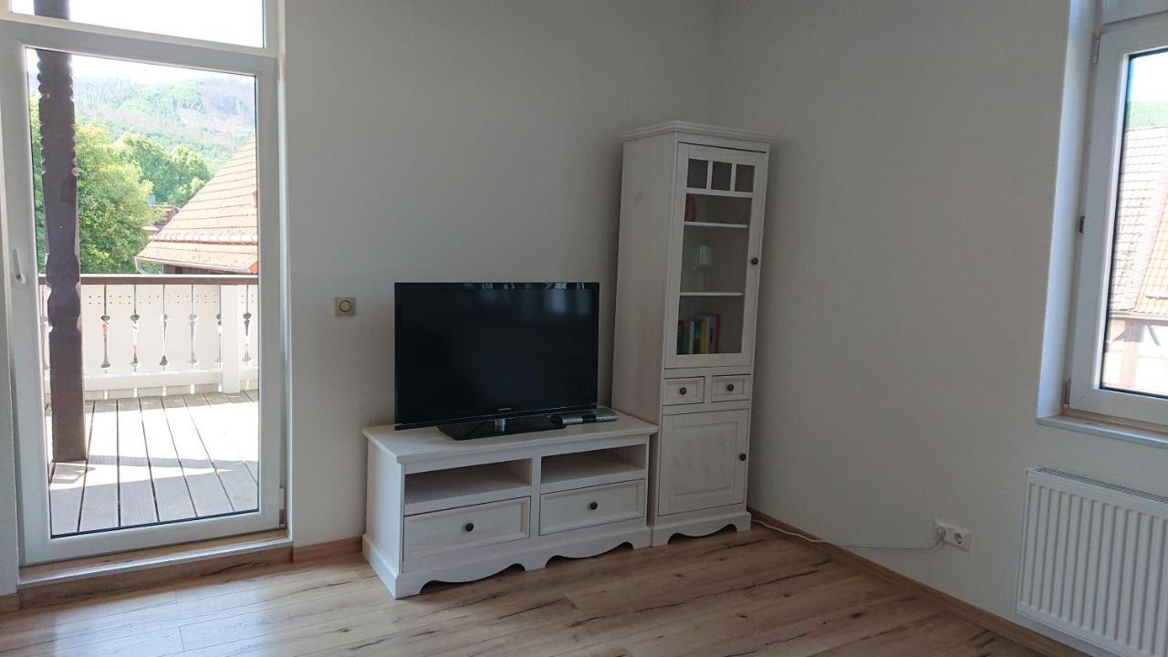 Ferienwohnung Zur Silbertanne Илзенбург Екстериор снимка